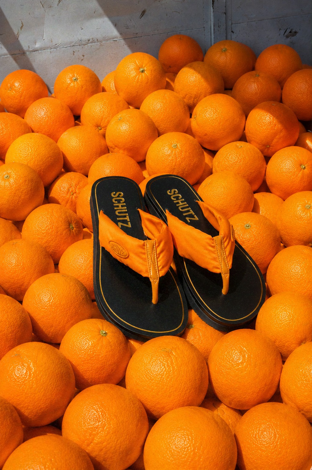 Chinelos laranja SCHUTZ sobre frutas cítricas